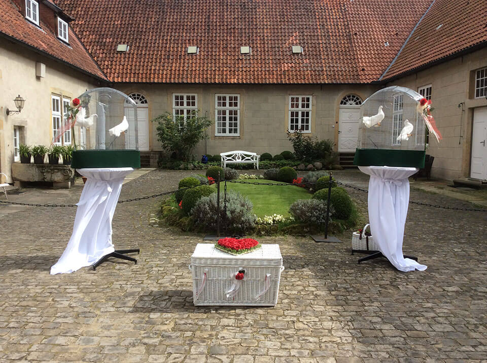 ihre-hochzeitstauben-5